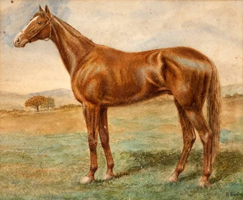 R. Barclay, ORBY - WINNER OF ENGLISH AND IRISH DERBIES, 1907, watercolour