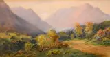 Alexander Williams, ERNST VALLEY, CONNEMARA