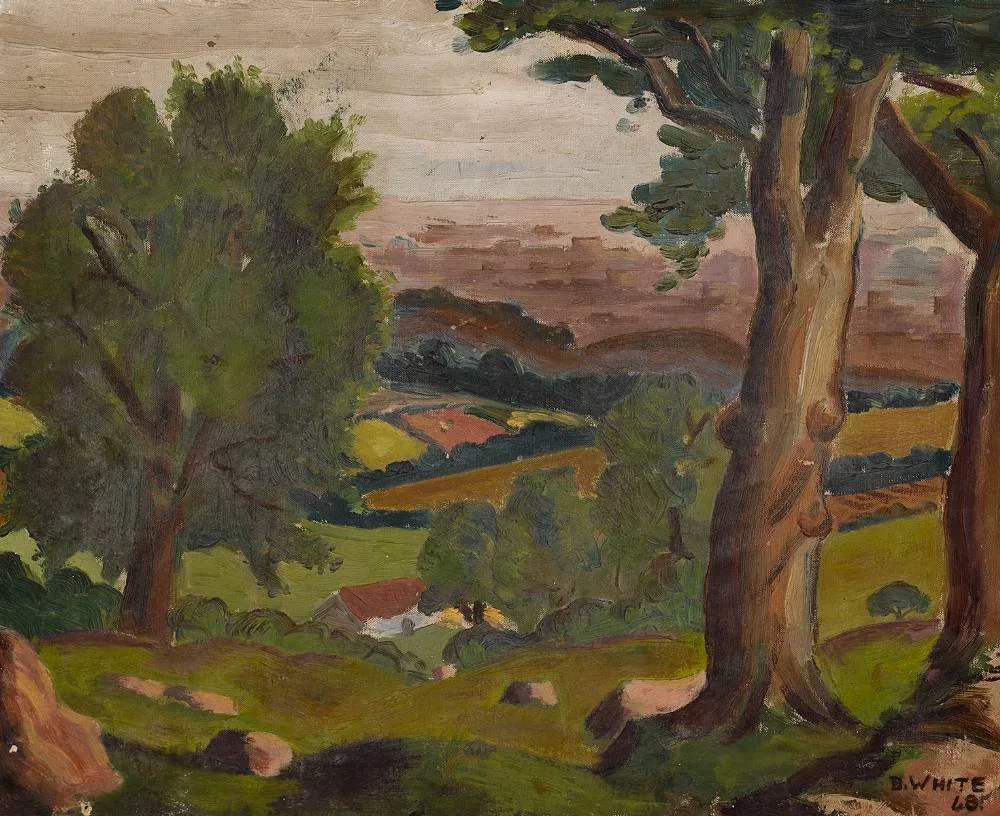 Bernard White, DUBLIN MOUNTAINS, 1948, oil on canvas; (unframed)