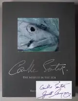 Camille Souter, CAMILLE SOUTER: THE MIRROR IN THE SEA by GARRETT CORMICAN