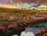 Anne Primrose Jury, DONKEYS NEAR DUNFANAGHY, COUNTY DONEGAL