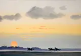 John Skelton, MORNING EXERCISE, THE CURRAGH, COUNTY KILDARE