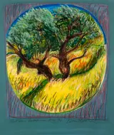 Brian Bourke, OLIVE TREES, ANDALUCIA, SPAIN