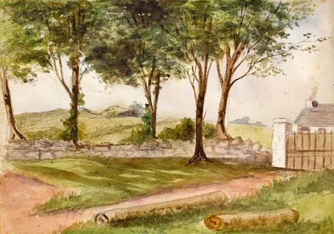 Hilda Roberts, ROCKSPRING FERNS (A PAIR), watercolour and pencil; (2)