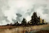 Phyllis del Vecchio, DARK TREES