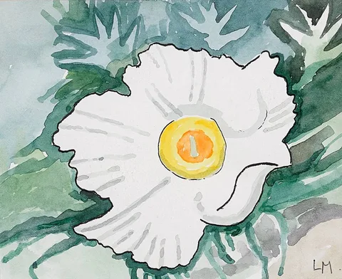 Lillias Mitchell, ARBUTUS, watercolour and ink