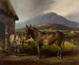 Susan Mary Webb, DONKEYS IN A FARMYARD
