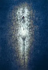Louis le Brocquy, HUMAN IMAGE VIII