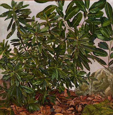 Philip Moss, FOREST SCENE WITH RHODODENDRON LEAVES, oil on canvas