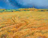 Tom Roche, FIELD OF BARLEY