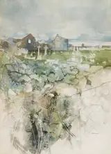 Terence P. Flanagan, HOLY WELL ON THE ISLAND OF INISHMURRAY, COUNTY GALWAY