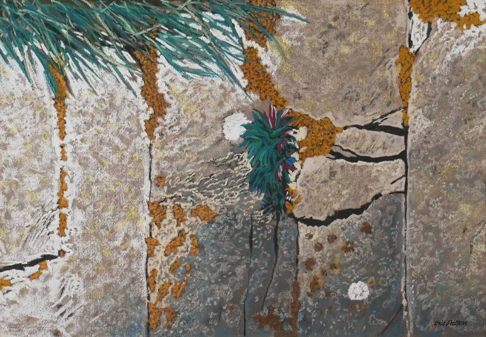 WALL PLANTS VI by Eric Patton, pastel, offered Jun 2021