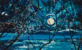 Gretta O'Brien, SPIDER'S WEB IN MOONLIGHT