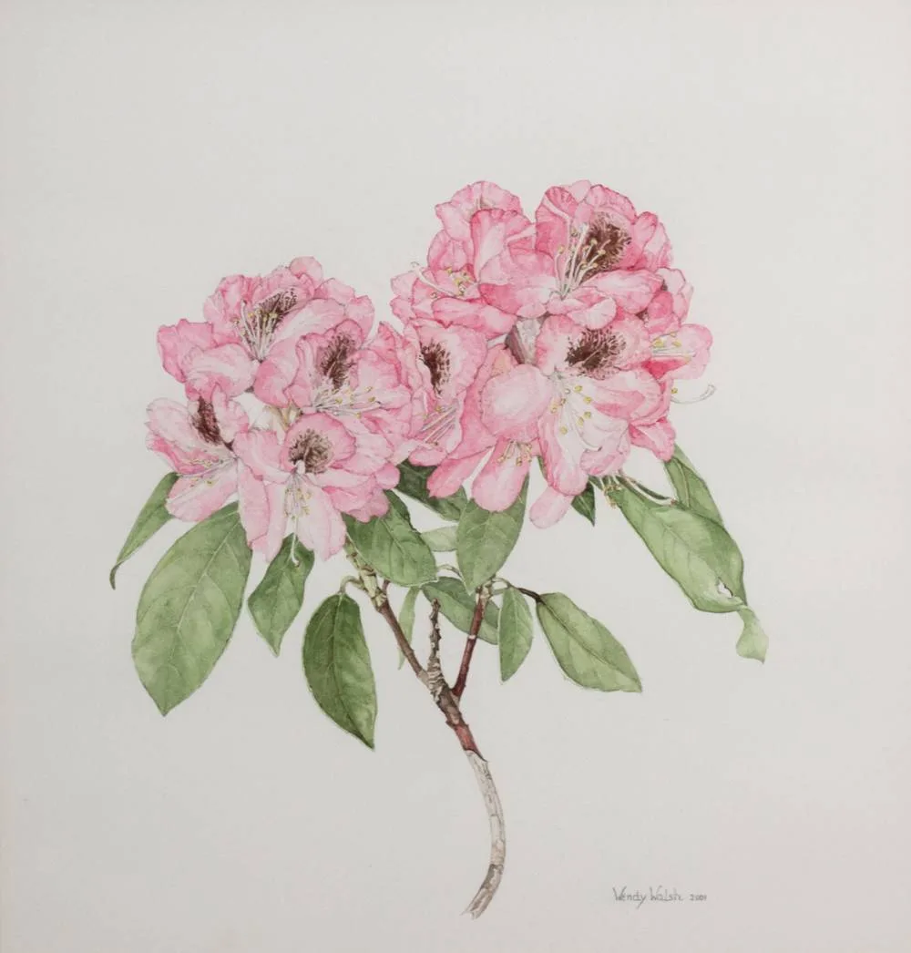 FLOWER STUDY by Wendy F. Walsh, 2001, pencil and watercolour, sold Jun 2021