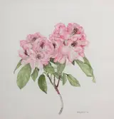 Wendy F. Walsh, FLOWER STUDY