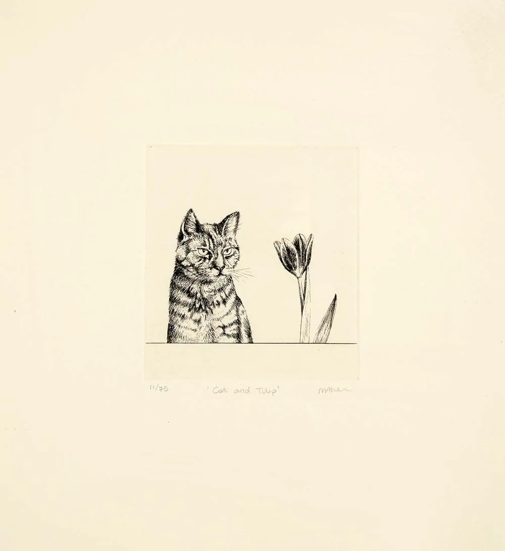 Neisha Allen, CAT AND TULIP, etching (no. 11 from an edition of 75)