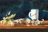 Martin Gale, TEA AND LEAVES