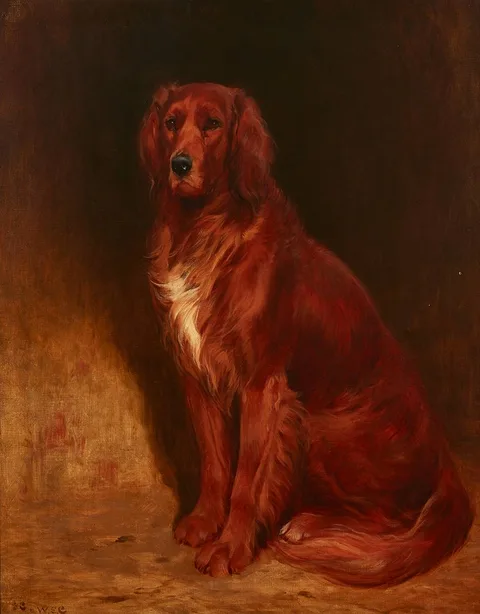 John Charlton, RED SETTER, 1901, oil on canvas