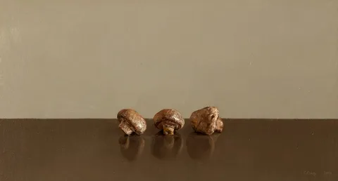 Comhghall Casey, THREE MUSHROOMS, 2001, oil on linen