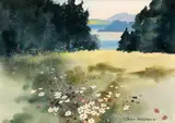 John Skelton, WILD SUMMER FLOWERS, NEAR BLESSINGTON