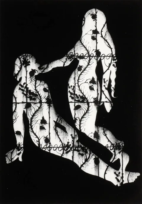 Alice Maher, TRYST (THE EARTHLY GARDEN), 2009, print; (no. 1 from an edition of 25)