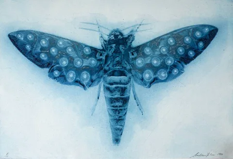 Andrew Folan, LIGHT SENSITIVE, 2000 (PORTFOLIO SET OF SEVEN), photo Intaglio etching; (7); (from an edition of 10); (unframed)