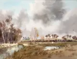Robert W. Milliken, DUCKS IN FLOODED FIELD