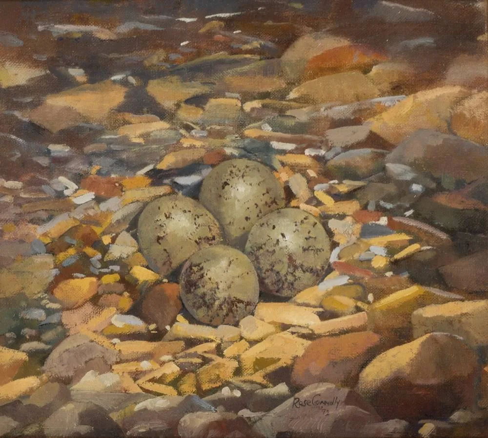 Rose Connolly, RINGED PLOVER'S EGGS, 1992, oil on canvas