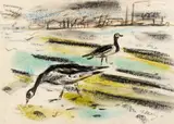Norah McGuinness, FEEDING GROUNDS, DUBLIN BAY
