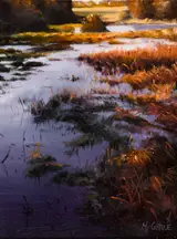 Henry McGrane, STUDY OF FLOODED PASTURES, MEATH