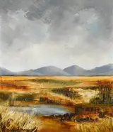 Carmel Mooney, BOG LAKE, WEST OF IRELAND