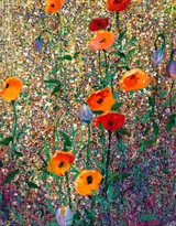 Kenneth Webb, CALIFORNIAN POPPIES