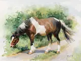Peter Curling, HORSE GRAZING