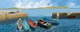 John Francis Skelton, COLIEMORE HARBOUR, DALKEY
