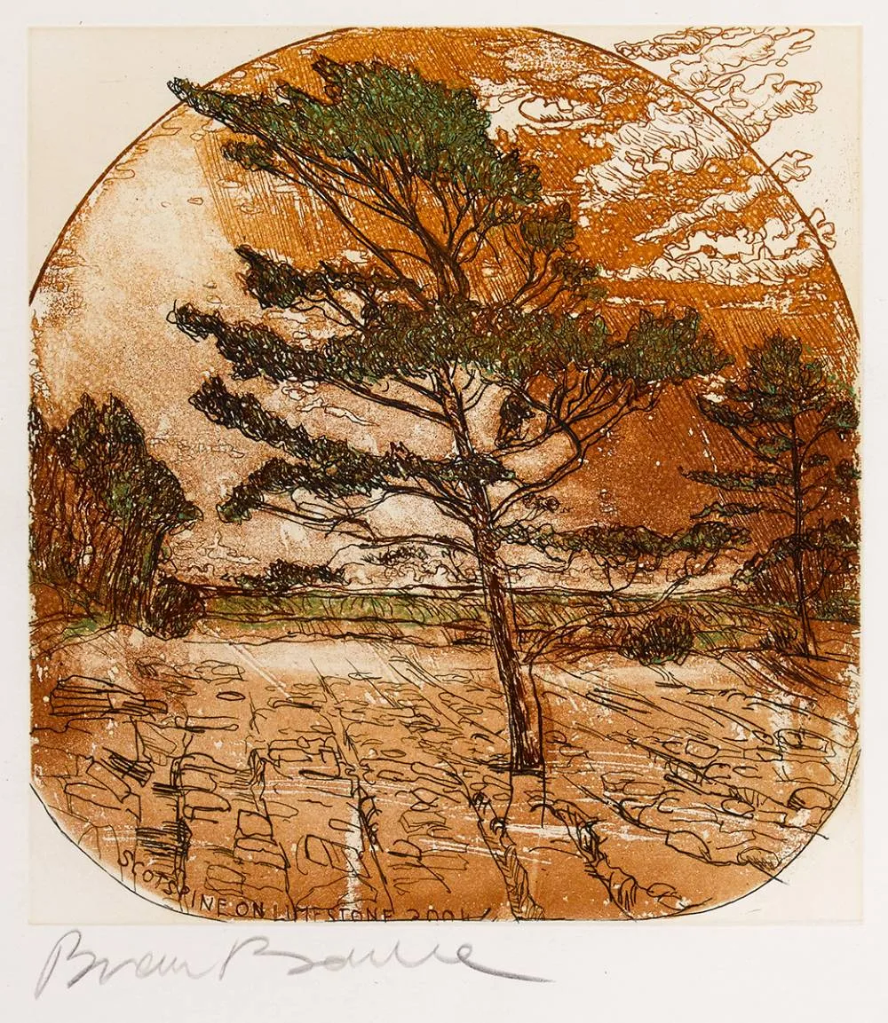 SCOTSPINE ON LIMESTONE by Brian Bourke, etching, sold Oct 2020