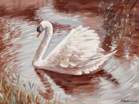 Pat Phelan, THE SWAN, oil on board