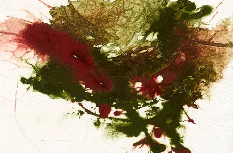 Eileen Costelloe, LANDSCAPE, oil on paper
