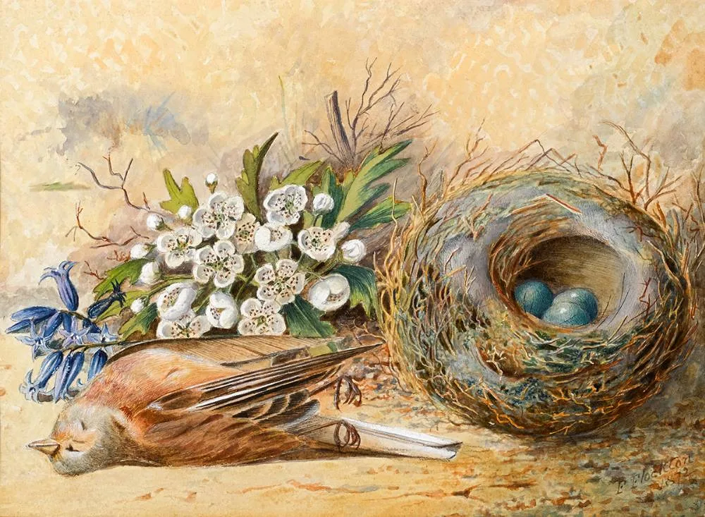 Frederick Flockton, BIRD AND NEST, 1872, watercolour
