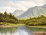 Gerry Marjoram, NEAR BALLYNAHINCH, COUNTY GALWAY