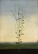 Michael Canning, EXPOSITION