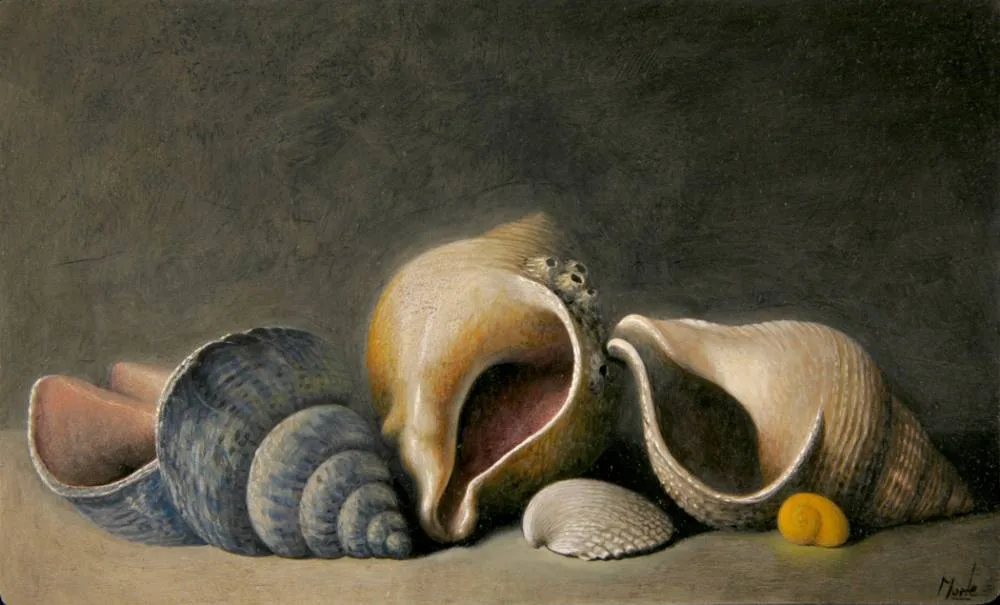 Stuart Morle, SHELLS, oil on copper