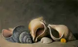Stuart Morle, SHELLS