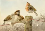 Helen O'Hara, BIRDS ON A WIRE AND WOODEN POST
