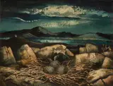 Daniel O'Neill, BIRD'S NEST