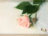 Thomas Ryan, WEDDING RING AND PINK ROSE