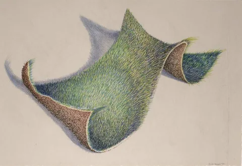 Cindi Harper, GRASS DRAWING (SINGLE PEAK), 2004, pencil