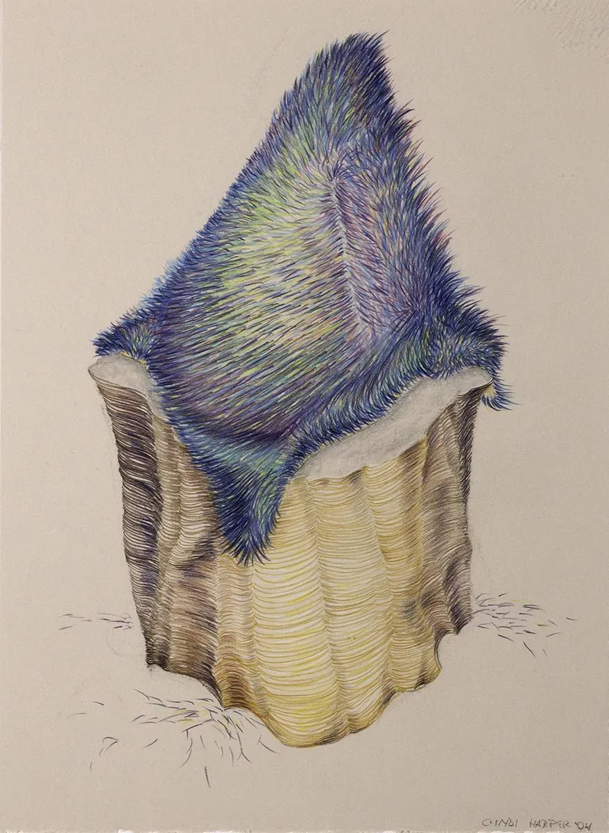 Cindi Harper, GRASS DRAWINGS (HILLS) (A PAIR), pencil
