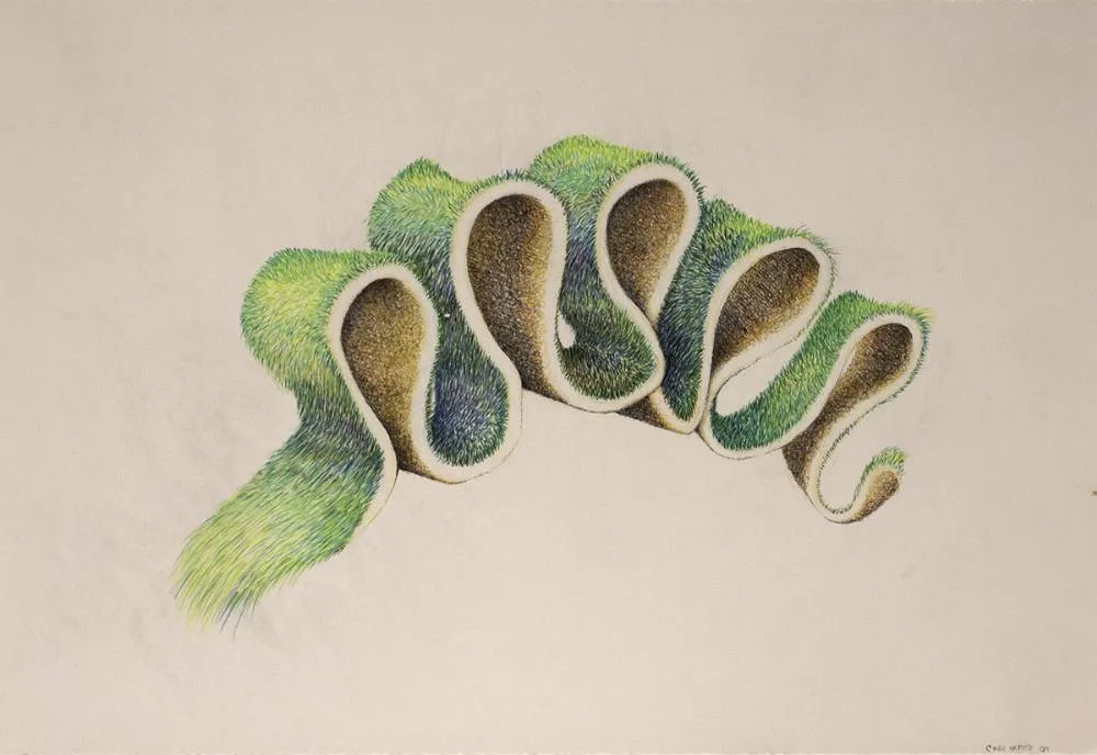 GRASS DRAWING (FIVE PEAKS) by Cindi Harper, 2004, pencil, sold Feb 2020