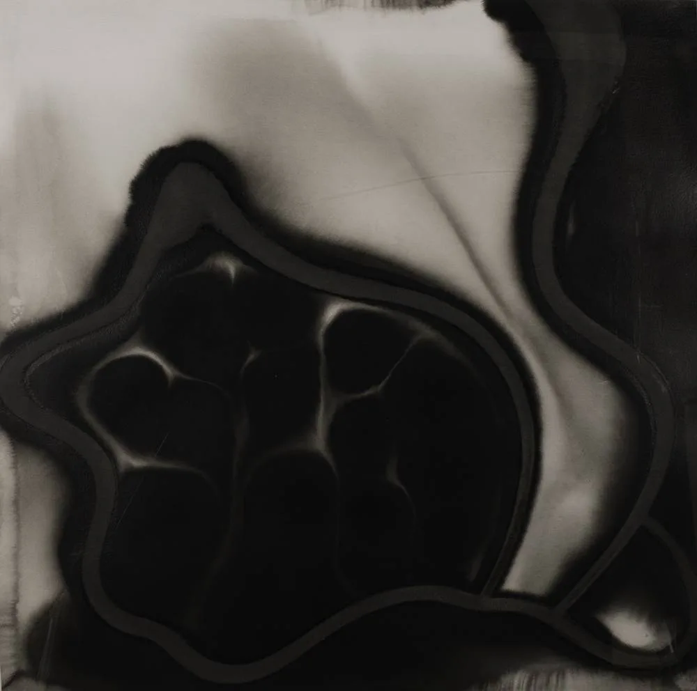 Paul Furfaro, BLACK AND WHITE PAINTING II, ink