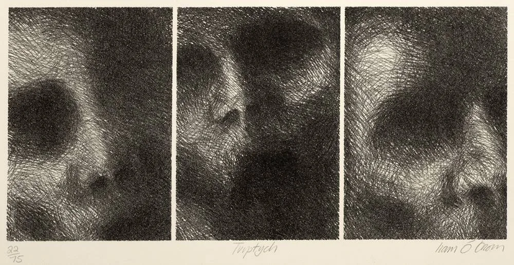 TRIPTYCH by Liam ó Broin, etching monoprint; (no. 22 from an edition of 75), sold Feb 2020